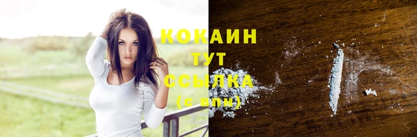 гидра Абаза