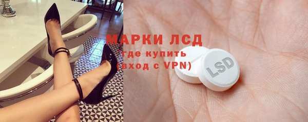 гидра Абаза