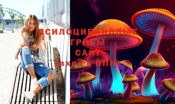 шишки Надым