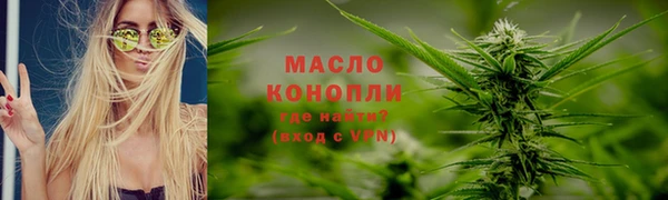 шишки Надым