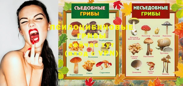 гидра Навашино