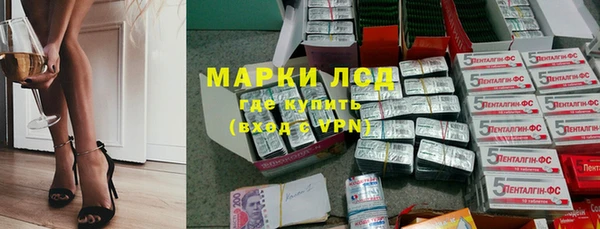 гидра Абаза