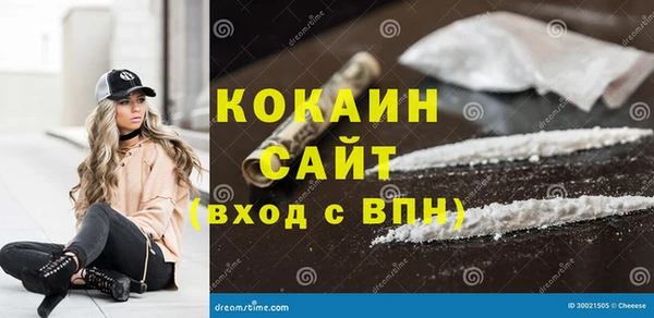 гидра Абаза