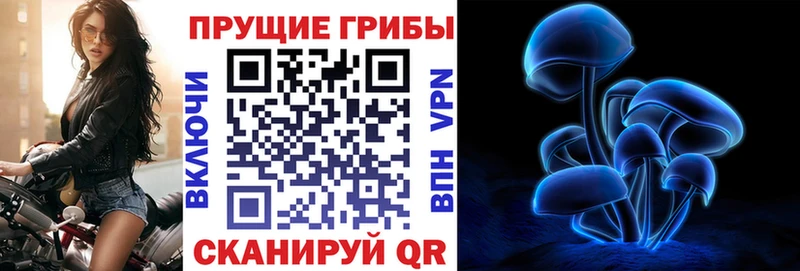 купить закладку  Струнино  мега tor  Галлюциногенные грибы мухоморы 